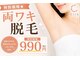 シルク(Cilk)の写真