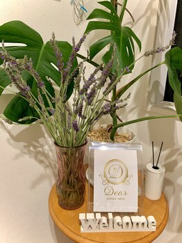 ディアー(Dear)/サロン玄関♪大きなモンステラ♪