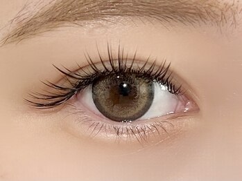 パキラ(Pachira)/ぱっちりタレ目風デザイン!