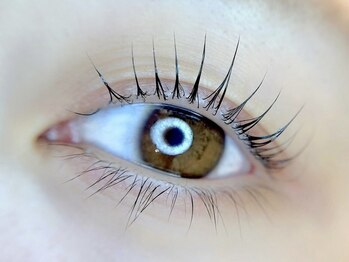 シェリールル 淡路上新庄店(CHERIE luLu.)/パリジェンヌラッシュリフト