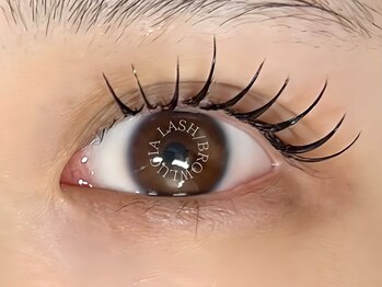 ルシアラッシュブロウ 新宿(LUCIA LASH BROW)/LEDエクステ+パーマ