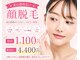 ウルレア(ulu lea)の写真