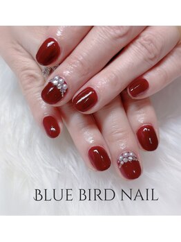 ブルーバードネイル(Blue bird nail)/ワンカラーネイル