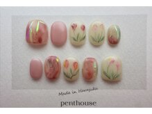 ペントハウス(Penthouse)/休日用　ネイルチップ