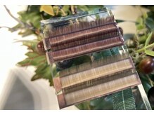 クラシック(CLASSIC)/フラットラッシュに新色入荷☆