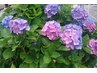 【6/10～13日(火水金)女性限定☆10％OFF♪】全身アロマリンパ１４０分 ¥9180