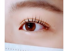 プラン アピ(plan api)/パリジェンヌラッシュリフト