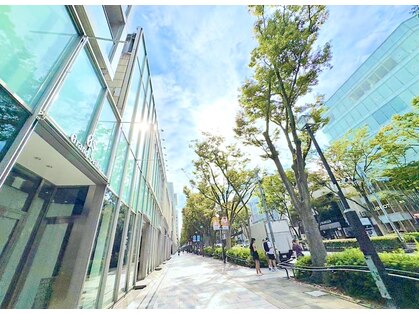 ボニット(Boknit)の写真