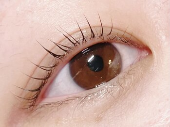 ブルーム(Bloom.)/まつげパーマ