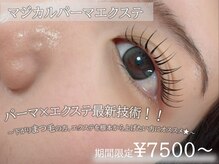ダリ アイラッシュ(Dahli eyelash)