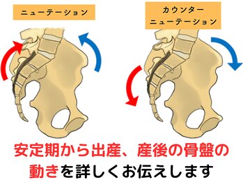 ライフ整骨院 綾瀬/他院では聞けない話をします