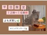平日12時～16時限定【全身痩身】よもぎ蒸し×Wリンパマッサージ¥9000→¥7000