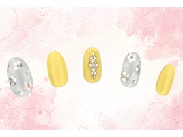 定額ダイヤコース