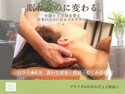 フォーリーフ(4 Leaf)の写真