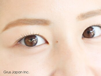 グルス(GRUS)/Wプロテクトカール