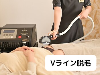 つばめの巣 山科/Vライン脱毛