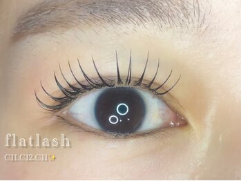 ラリス(Ralis)/フラットラッシュ100本