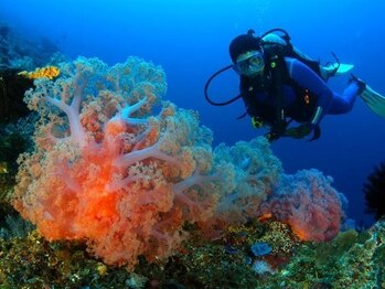 アジアンリラクゼーション ヴィラ 大橋店(asian relaxation villa)/バリハイ リーフ クルーズ