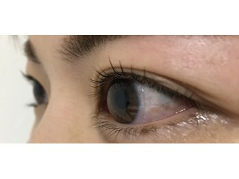 リュミエール(lash&brow lumiere)/スッキリ立ち上げ