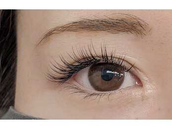 グレース(Graces)/フラットラッシュ160本