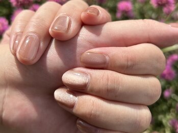 ソラニワ(soraniwa)/うるぷるマグネット