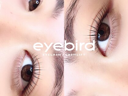 アイバード(eyebird)の写真