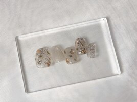【季節の定額】金木犀