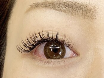 ルコル(Lecoeur)/バインドロック120本