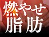 【痩身】ウエスト周り集中＋骨盤ブロック矯正 ¥11,000→¥3,900