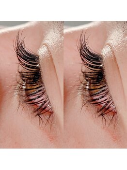 シルフ 西宮店(Sylph)/西宮/まつエク/まつ毛パーマ