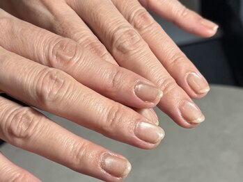 シャール(shall)/マグネット/ネイル/フィルイン