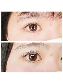 シル(cil)/まつげカール★Lカール