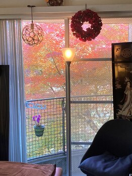 プライベートサロン ガンダーラ 吉祥寺(Privatesalon Gandhara)/サロン内観