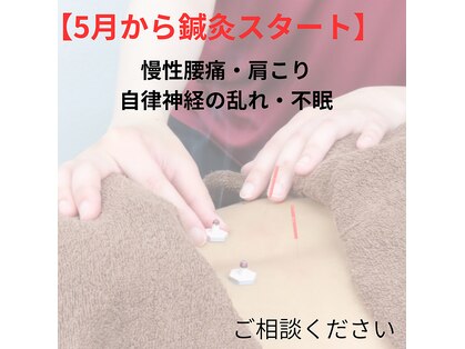 リラクマ(RIRAKUMA)の写真