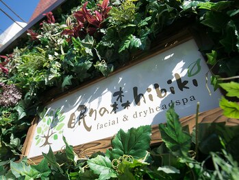 眠りの森 ヒビキ(hibiki)/☆看板☆