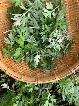 アレミュ(Allez mieux)/国産よもぎ使用