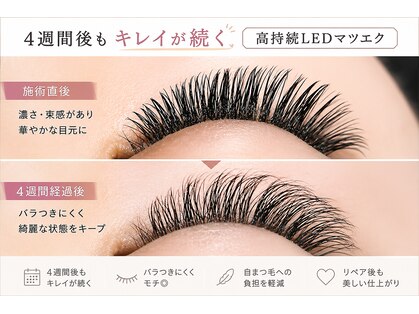 アイラッシュメイ(eyelash May)の写真