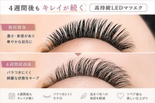 アイラッシュメイ(eyelash May)