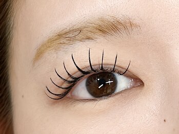 [マツエク/LED/まつ毛パーマ/アイブロウ/眉毛]　EURO eyelash salon 大倉山店の写真/目の形に合わせて叶える、理想のまつげ[まつ毛パーマ/マツエク/LED/アンドヘルシー/バインドロック]