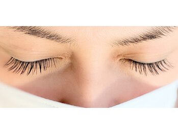 プラン アピ(plan api)/フラットラッシュ140本