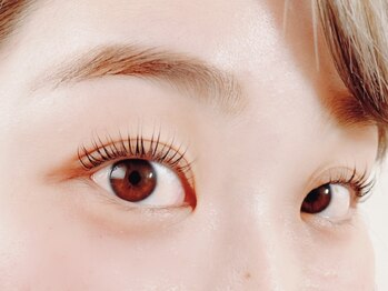 リノ(Lino)/ロイヤルラッシュリフト