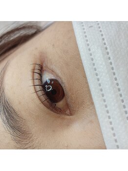 ミニョンアイラッシュ(mignon eyelash)/