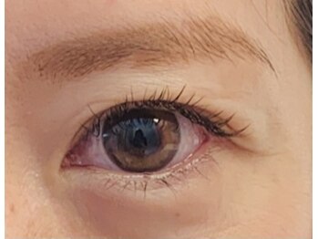 アプリコット(apricott)/【allダークモカ】120本 ¥5000