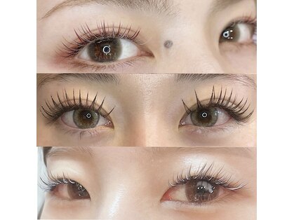 サンタ(SANTA.)の写真