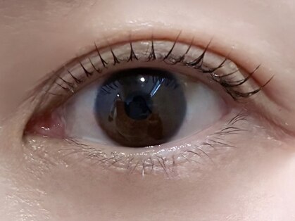 トトルナ(totoluna)の写真