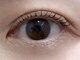 トトルナ(totoluna)の写真
