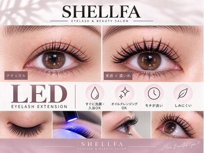 シェルファ(Shellfa)の写真