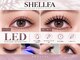 シェルファ(Shellfa)の写真