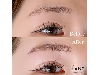 ランド(LAND)の写真