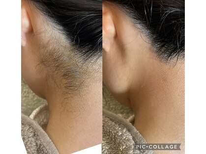 ルピナス(salon de Lupinus)の写真